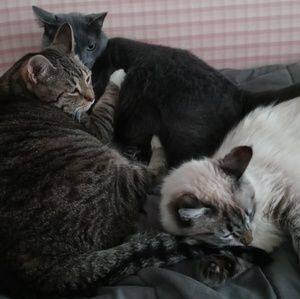 Meet your Posher, Nicole